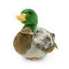 Rappa - Pluszowa realistyczna maskotka Kaczka Krzyżówka 20 cm Eco-Friendly