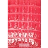 Nexgen Skins - Zestaw skórek na obudowę z efektem 3D iPhone SE (2016) / iPhone 5s / iPhone 5 (Alligator Fuchsia 3D)