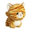 Teddy Pets - Pluszowa maskotka / przytulanka Kot Rudy Pręgowany 17 cm