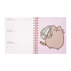 Pusheen - Planner 2019/2020 rok (15,5 x 19 cm)