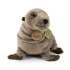 Rappa - Pluszowa realistyczna maskotka Foka Lew Morski 30 cm Eco-Friendly