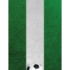 Nexgen Skins - Zestaw skórek na obudowę z efektem 3D iPad 2/3/4 (Soccer Field 3D)
