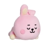 BT21 - Pluszowa poduszka / maskotka 28 cm COOKY Baby