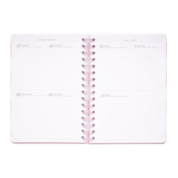 Pusheen - Planner 2019/2020 (14 x 16 cm)