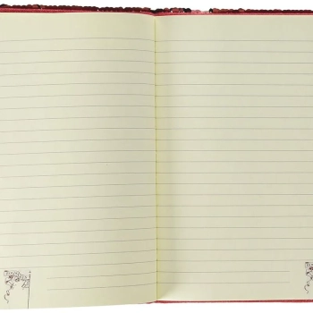 Harry Potter - Notatnik / Notes w cekiny A5