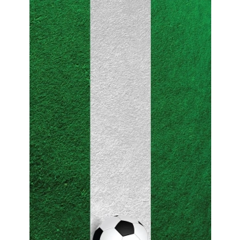 Nexgen Skins - Zestaw skórek na obudowę z efektem 3D iPad 2/3/4 (Soccer Field 3D)